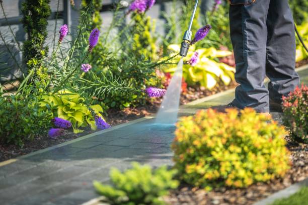 Best Gutter Cleaning  in Fairmont, MN